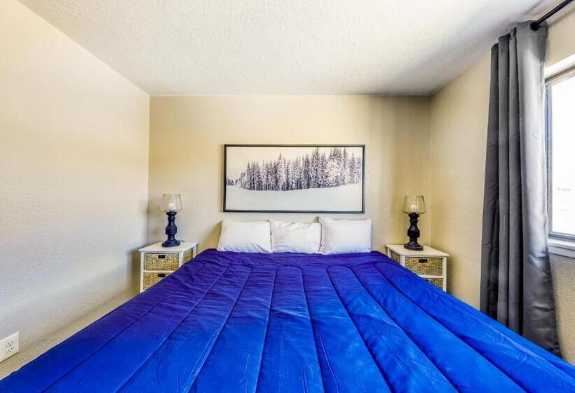 شقة غرفة واحدة, The Mall #203