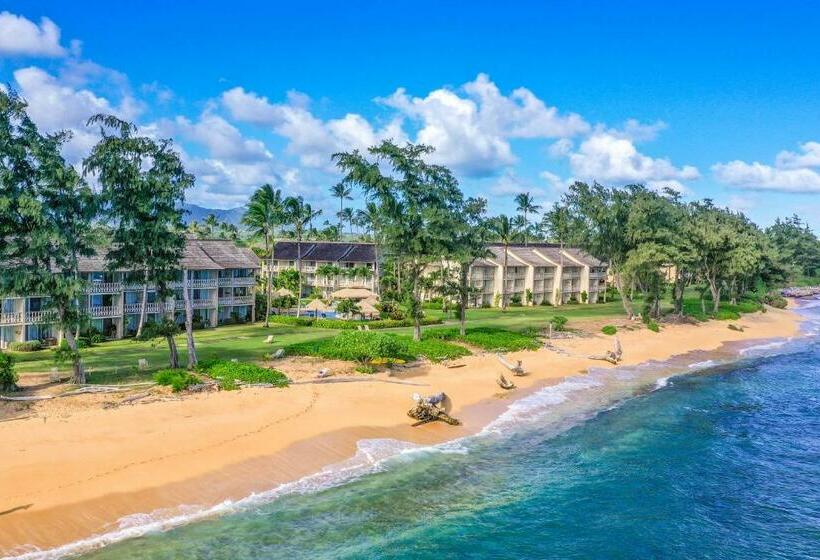 استودیوی استاندارد, Islander On The Beach 250