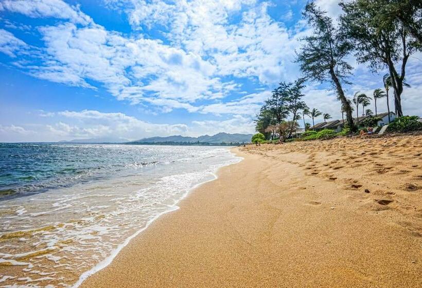 استودیوی استاندارد, Islander On The Beach 250