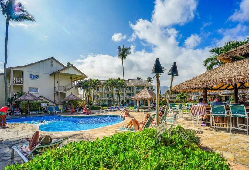 استودیوی استاندارد, Islander On The Beach 250