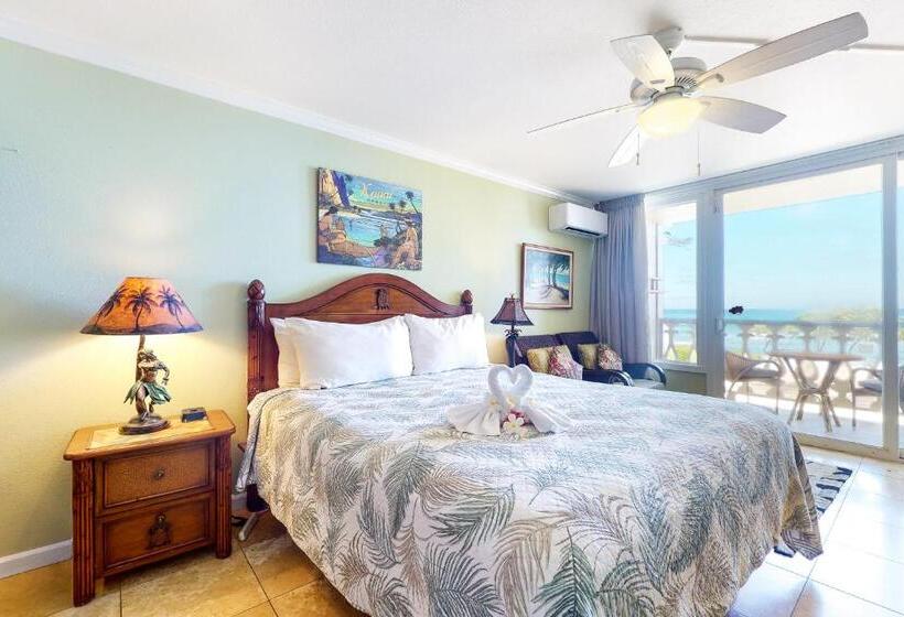 استودیوی استاندارد, Islander On The Beach 250