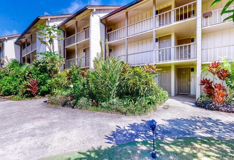 استودیوی استاندارد, Islander On The Beach 250