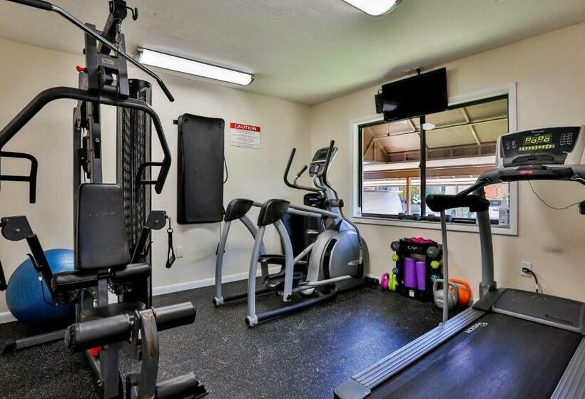 شقة غرفتين, Midnight Cove Ii 823