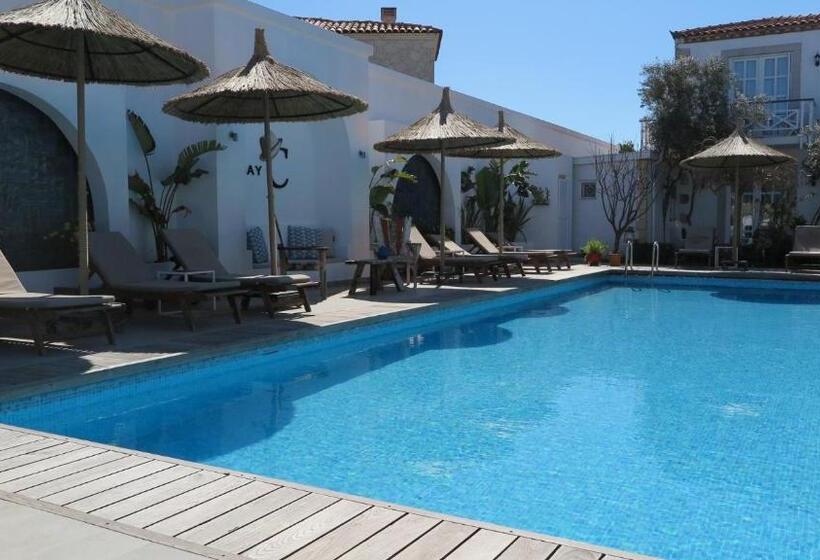 トリプルクラシックルーム, Bay C