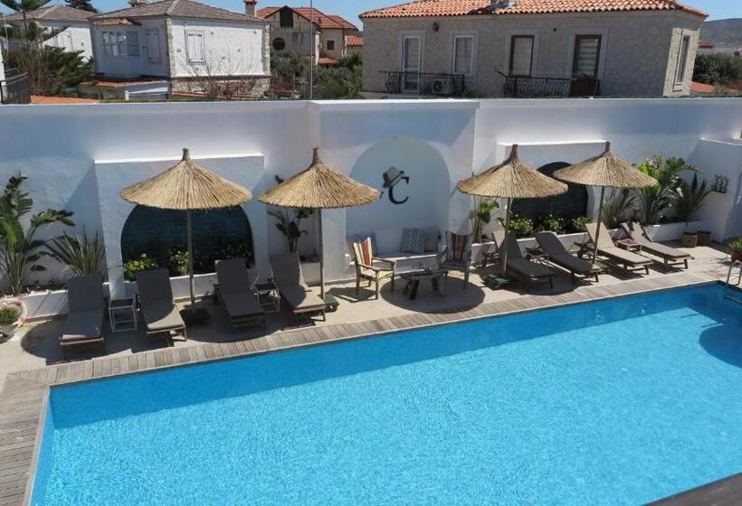 トリプルクラシックルーム, Bay C