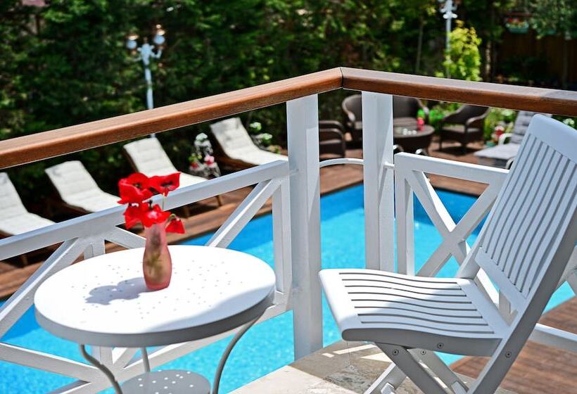 デラックスルーム, Bay C