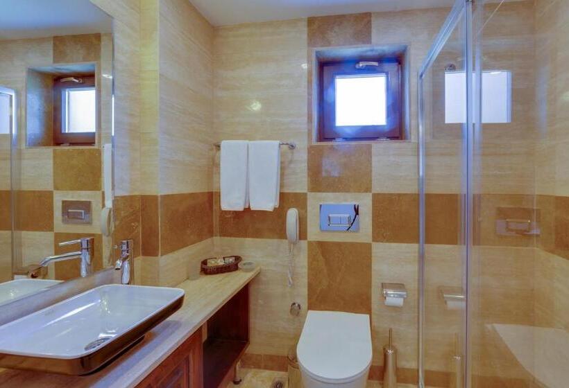 高级大房间, Orcey