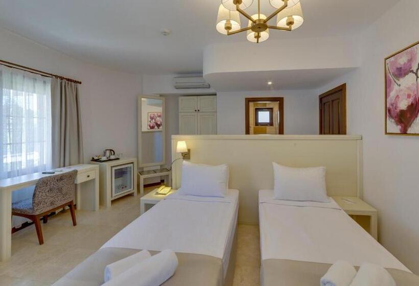 高级大房间, Orcey