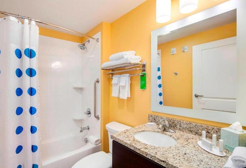 סטודיו סטנדרט, מיטה זוגית, Towneplace Suites By Marriott Bellingham