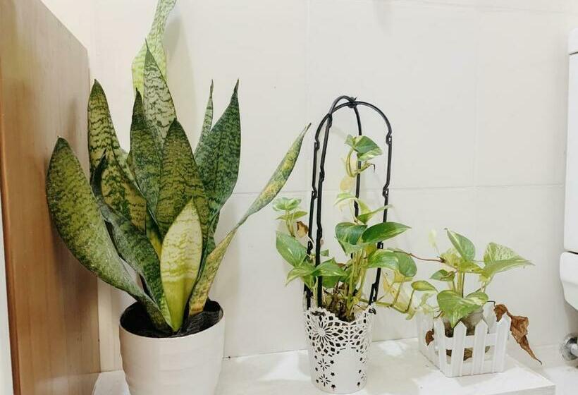 Apartament 1 Dormitori Vista Piscina, Elle S Condo At One Oasis