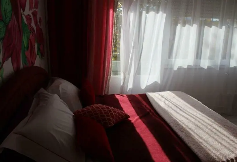 اتاق استاندارد با تراس, Zama