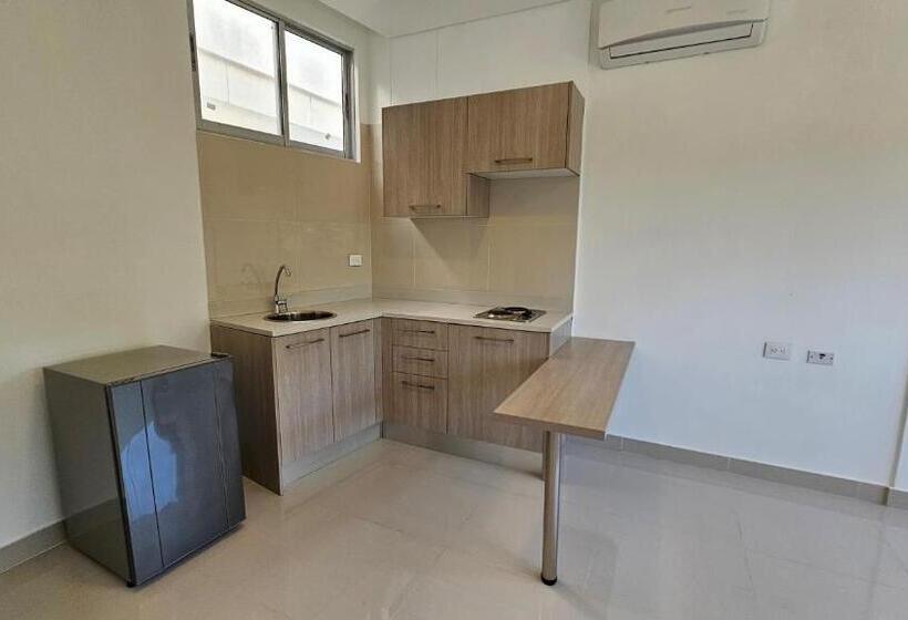 Apartamento 1 Dormitório, Santa Sofia