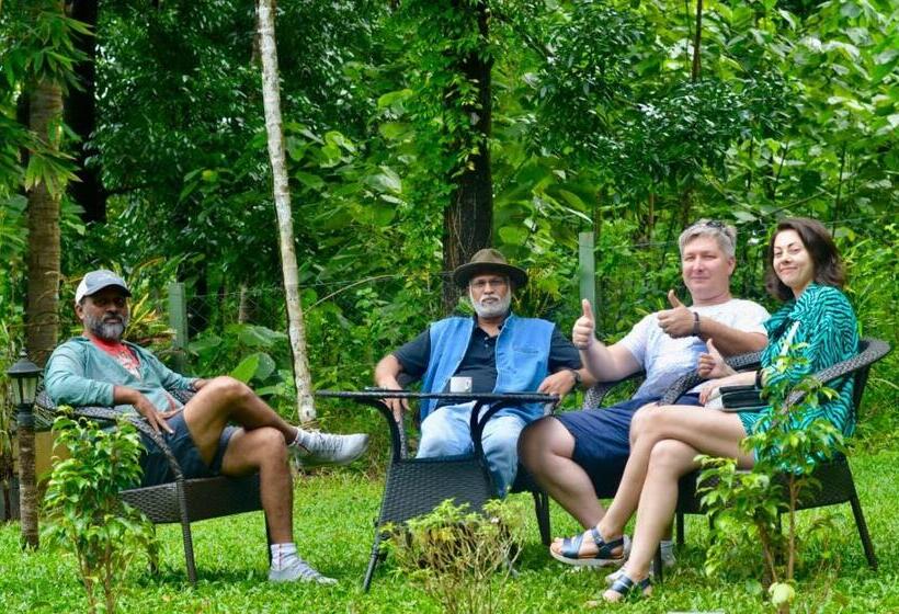 חדר סופריור עם מיטת קינג, Athirapilly On The Rocks