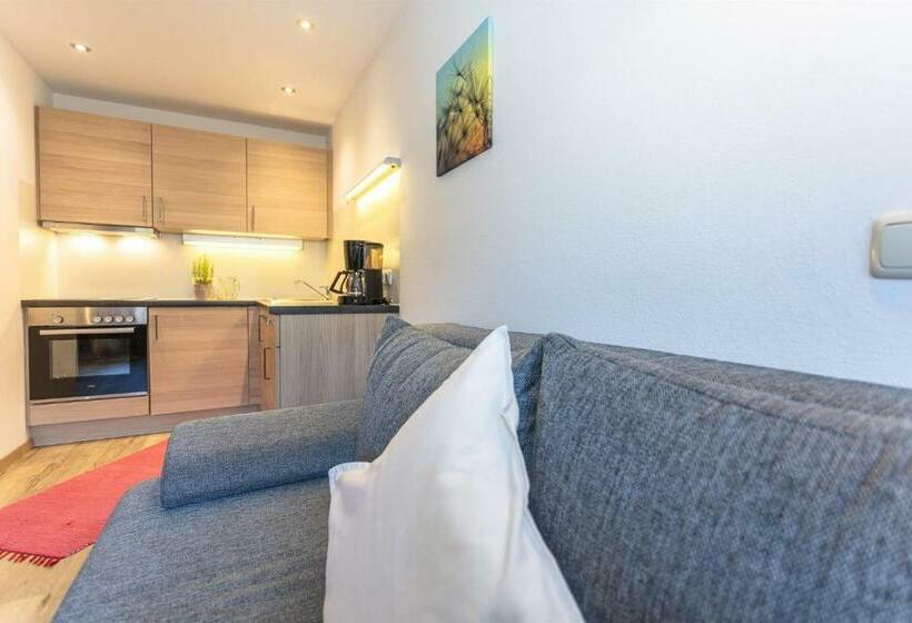 Апартаменты 1 Спальня, Haus Pfistererbauer