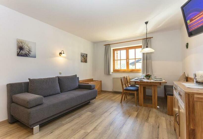 Апартаменты 1 Спальня, Haus Pfistererbauer