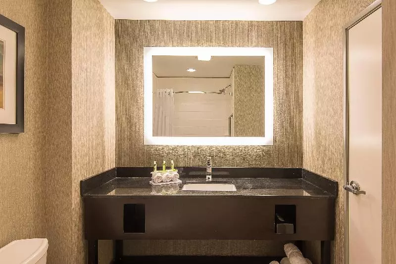 スイート, Holiday Inn Express & Suites Norwood Boston Area By Ihg