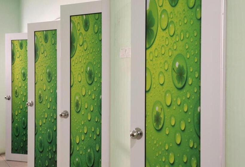 Camera Standard Singola Bagno Condiviso, Rain Forest