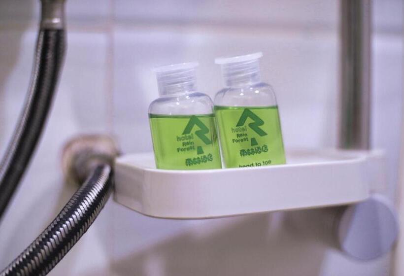 Camera Standard Singola Bagno Condiviso, Rain Forest