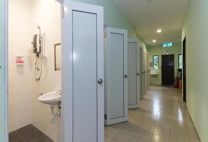 Camera Standard Singola Bagno Condiviso, Rain Forest