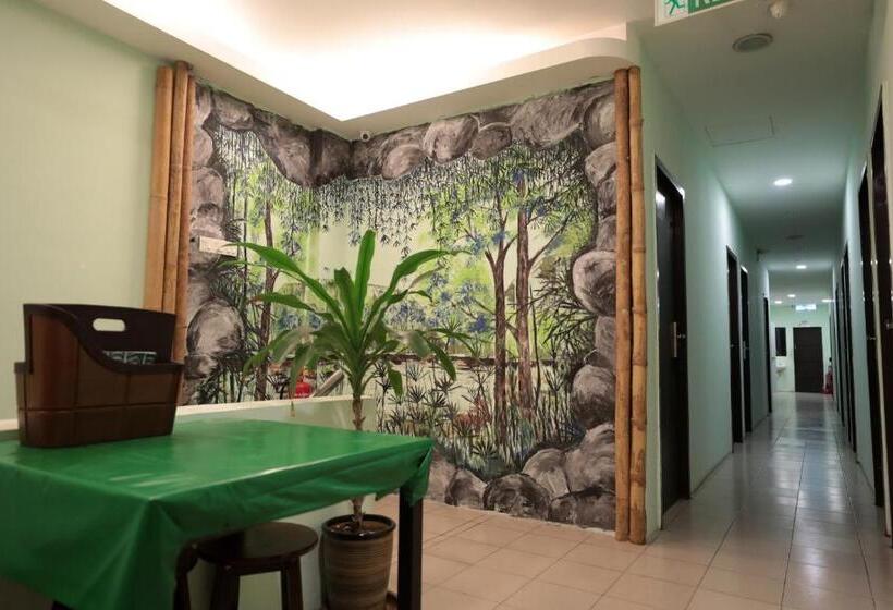 Camera Standard Singola Bagno Condiviso, Rain Forest