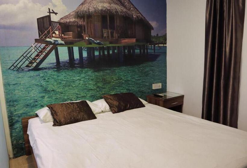 Camera Standard, Rain Forest