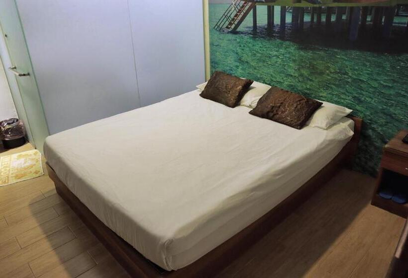 Camera Standard, Rain Forest