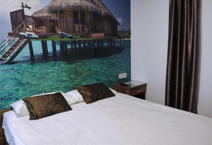 Camera Standard, Rain Forest