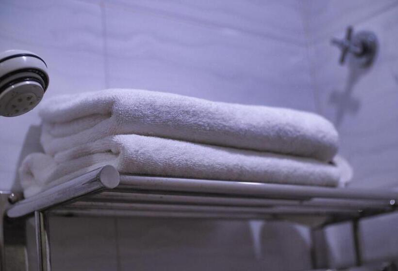 Camera Standard, Rain Forest