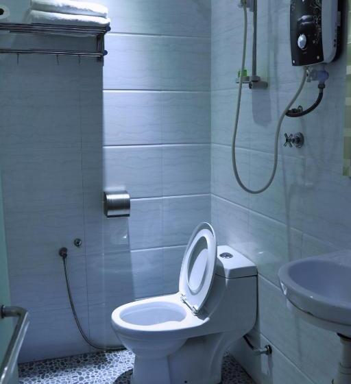 Camera Standard, Rain Forest