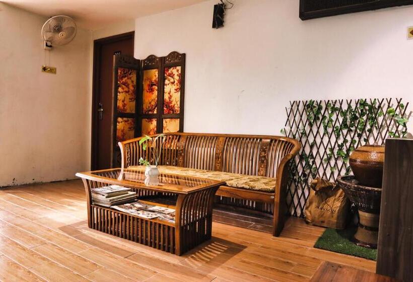 Camera Standard, Rain Forest