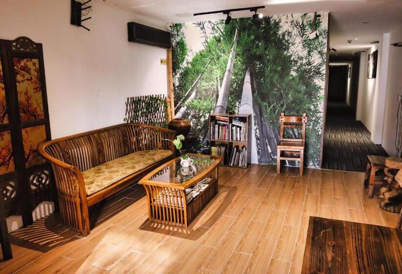 Camera Standard, Rain Forest