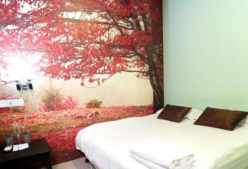 Camera Standard, Rain Forest