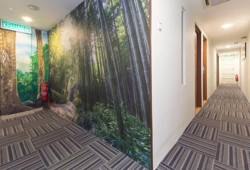 Camera Standard, Rain Forest