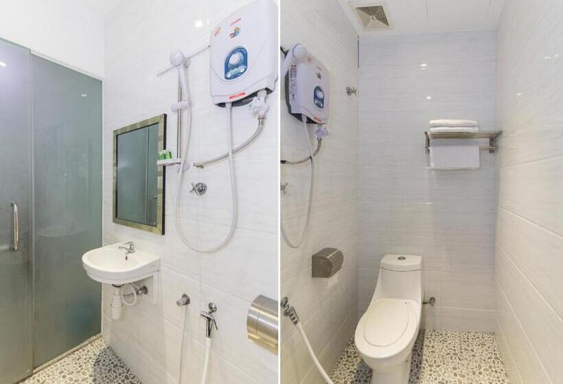 Camera Standard, Rain Forest