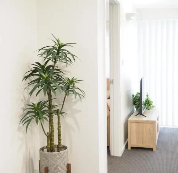 テラスつきの２ベッドルームアパートメント, Warners Bay Apartments
