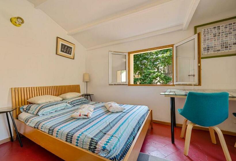 스탠다드 스튜디오, Catherine Studios