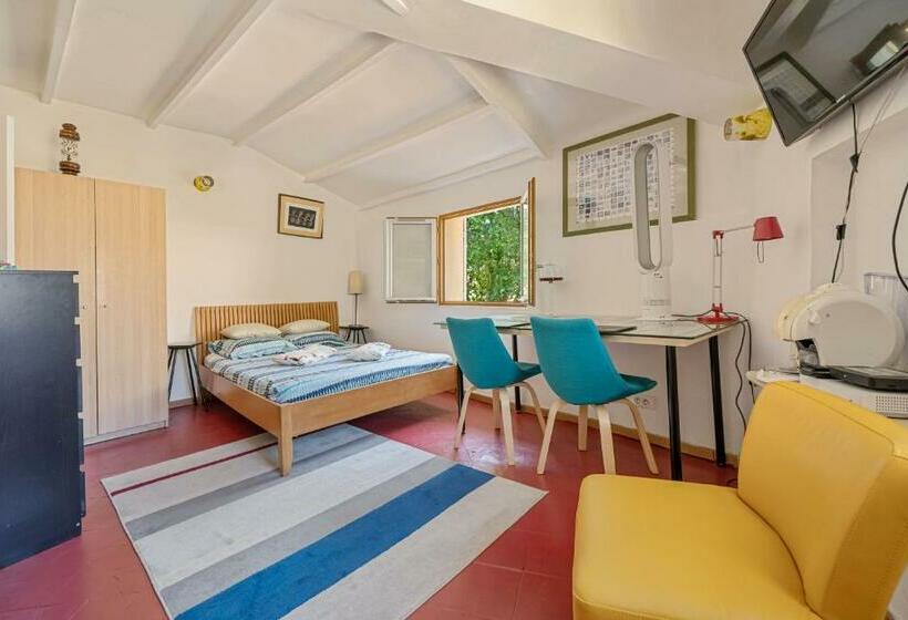 스탠다드 스튜디오, Catherine Studios