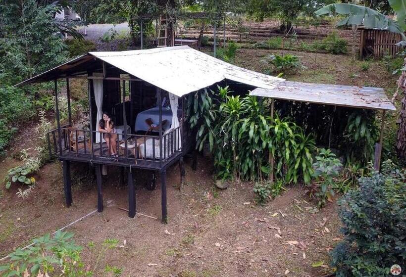 غرفة قياسية مطلّة علي الحديقة, Cabañas La Finca