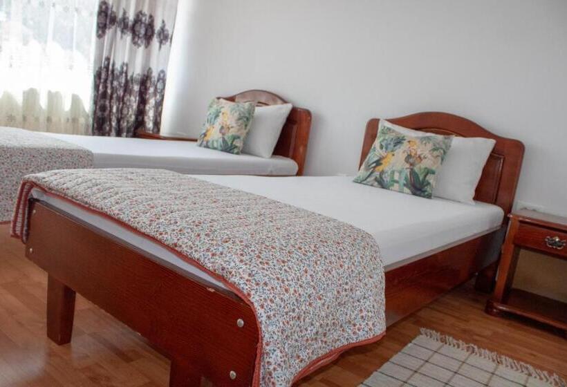 Номер Стандарт, Pensiunea Ricky