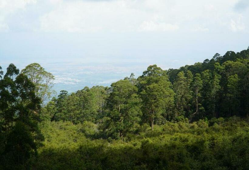 اتاق استاندارد با بالکن, Cloud Walk