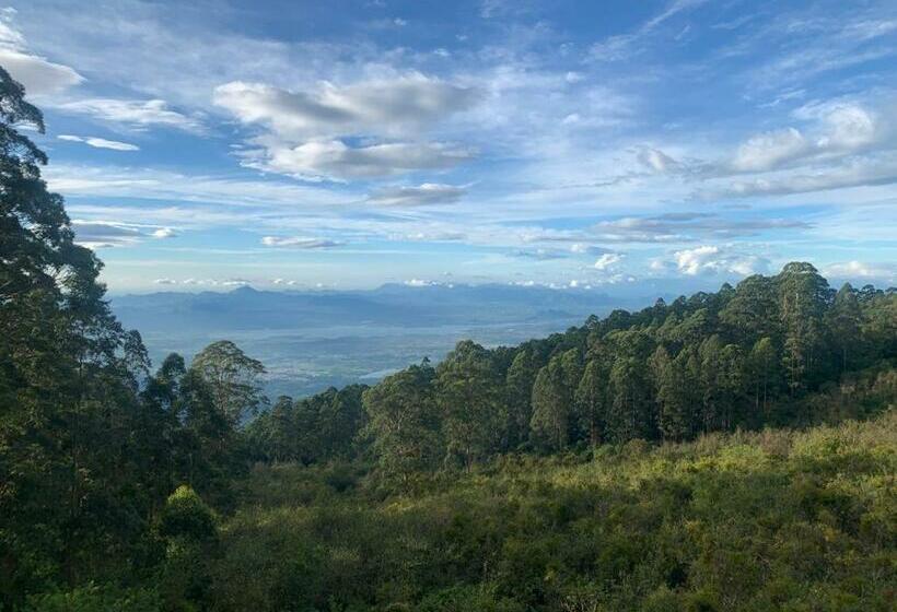 اتاق استاندارد سه تخته با بالکن, Cloud Walk