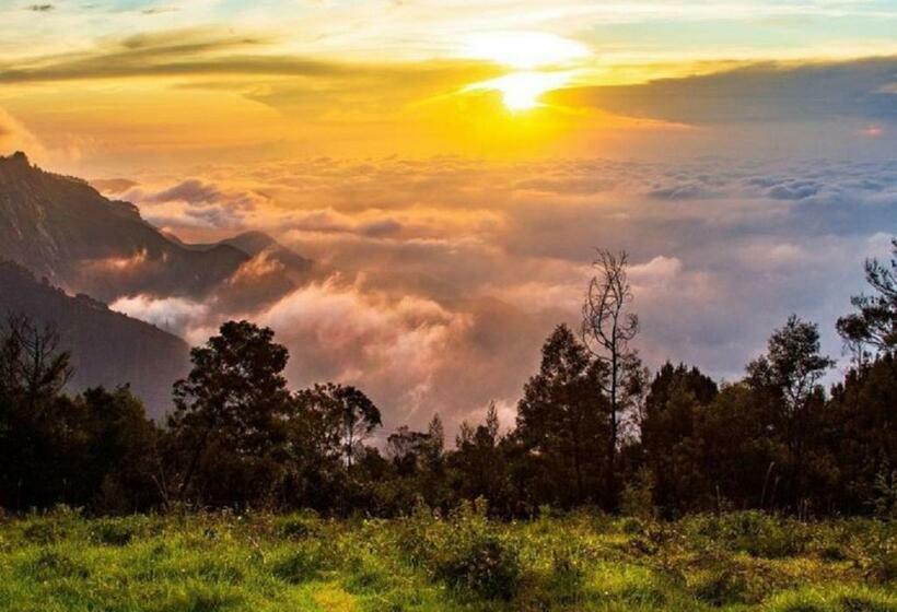 اتاق استاندارد سه تخته با بالکن, Cloud Walk