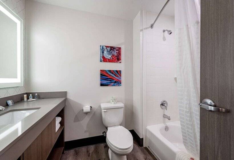 Люкс, Comfort Suites Colorado Springs East  Medical Center Area
