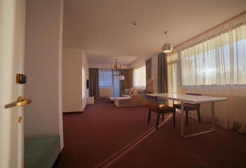 带1个卧室的公寓, Apart Hotel Vlad Tepes