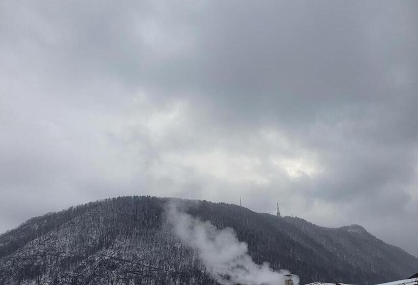 带2个卧室的公寓, Apart Hotel Vlad Tepes