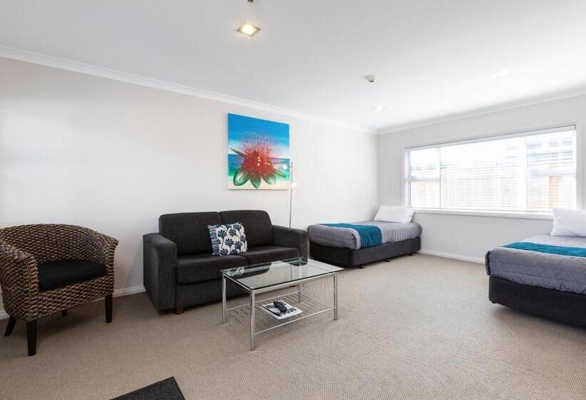 آپارتمان سوپریور 1 خوابه, Beach Street Motel Apartments