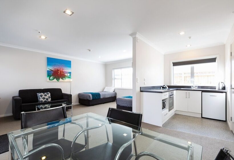 آپارتمان سوپریور 1 خوابه, Beach Street Motel Apartments