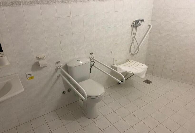 غرفة قياسية لذوى الاحتياجات الخاصة, Arena