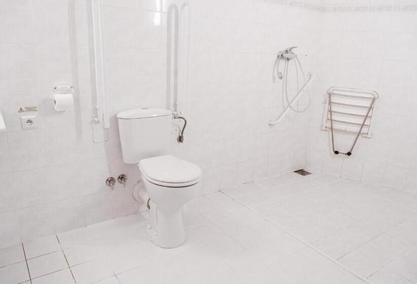 غرفة قياسية لذوى الاحتياجات الخاصة, Arena