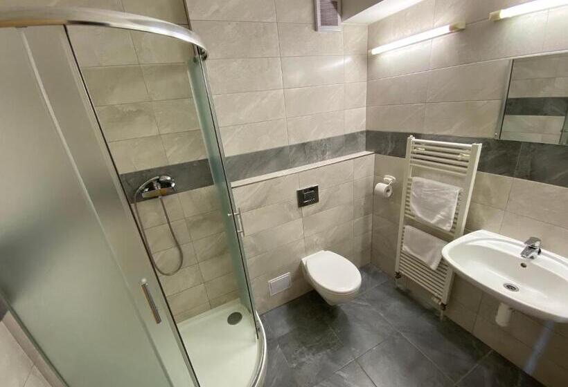 غرفة قياسية رباعية, Arena